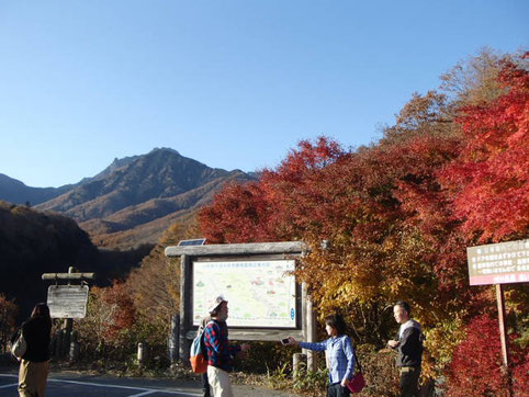 美し森　紅葉　トレッキング　ツアー　ガイド