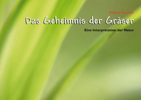 Valerie Forster, Buch, Books on Demand, Cover, Das Geheimnis der Gräser