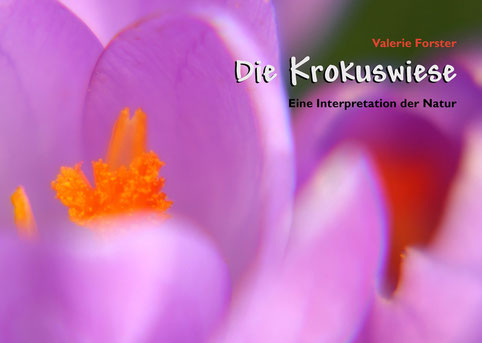 Valerie Forster, Buch, Books on Demand, Cover, Die Krokuswiese