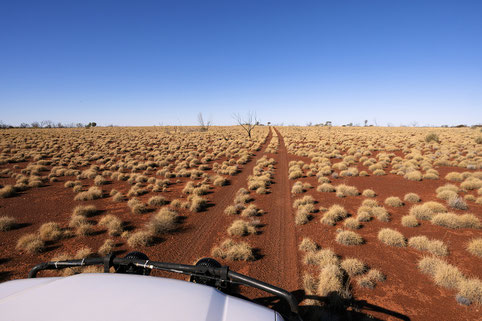 Mt Augustus - Join a 4 WD Tour from Denham or Carnarvon