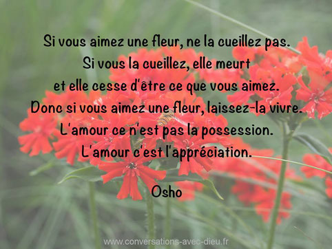 L Amour Bien Etre Et Energie