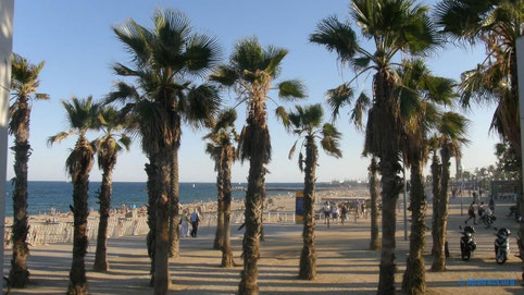 Barcelona #3