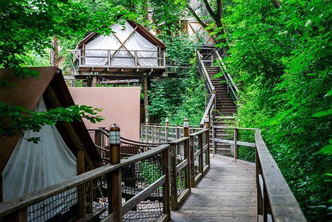 Glamping Baumhäuser im Wald 2026