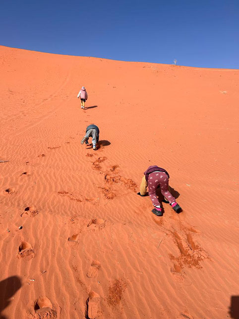 Wadi Rum - der wohl größte Sandkasten der Welt 