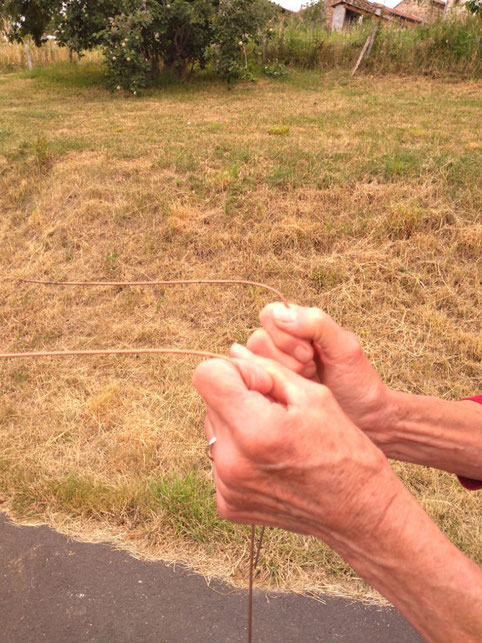 Les gestes du sourcier au Vallon d'Armandine