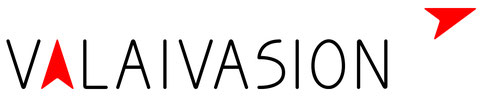 Logo; Valaivasion; Entreprise de transport; Transport de personnes; Valais; Riddes; Wallis; Transportunternehmen; Tobias Willa; Illustration; Grafik; Pfeil; Fleche; Rouge; Visuel; Auftritt; logo d'entreprise; Valaivasion; Sion; Sierre; Anzère