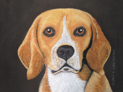 Beagle in Pastell A4