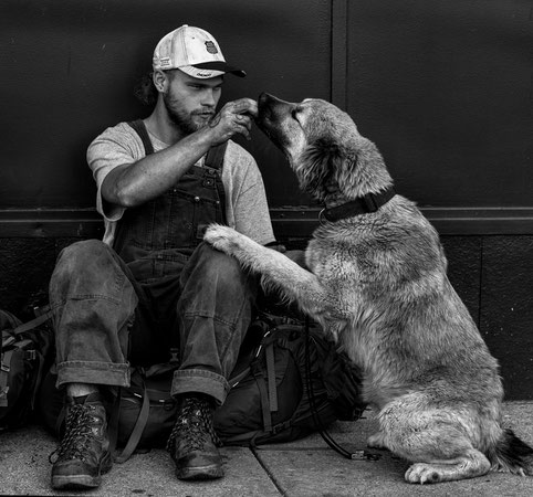 Ein Ziel, das viele Mühen lohnt: Mensch und Hund helfen, ein Team zu werden.