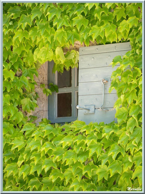  Une petite fenêtre de la maison à l'entrée de l'abbaye de Silvacane, Vallée de la Basse Durance (13)  