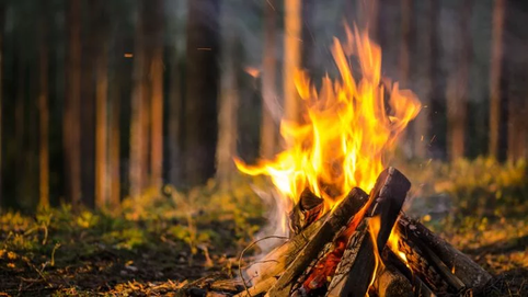 Feuerlicht und Stille  in den Wald-Rauhnächten - Loslassen und Neubeginn