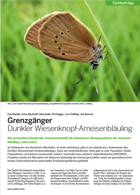 Natur in NRW 2020 - Artikel über den Ameisenbläuling in Heinsberg