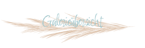 Hier geht es zu weiteren Paarfotos, Engagement-Shootings und Verlobungsshootings.