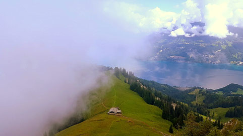 Im Aufstieg zum Morgenberhorn mit Blick auf den Thunersee