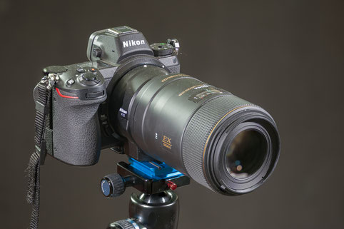 Nikon Z6 mit Sigma 105 f2.8 EX-DG Macro-OS 1:1