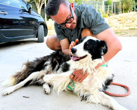 Jan (Team-Mitglied Partnerorganisation Argo Tierschutz)