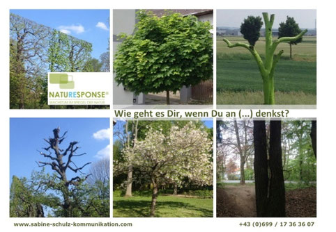 NATURESPONSE® ANTWORTEN DER NATUR