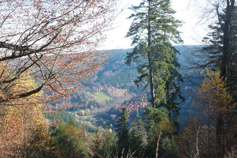 Blick vom Hangweg am Heuberg in Richtung Enztal/ Ausgang Eyachtal (G. Franke)