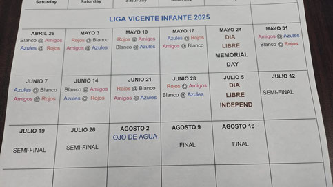 Liga de Softball Vicente Infante.   www.livinfante.com