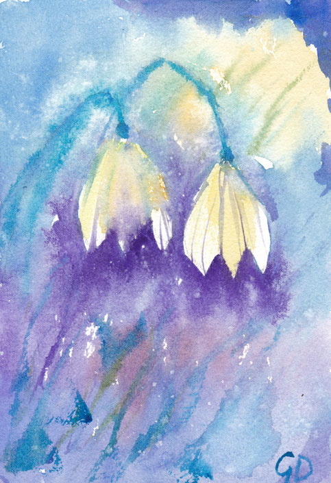 Schneeglöckchen 3, 13x19cm, 100€