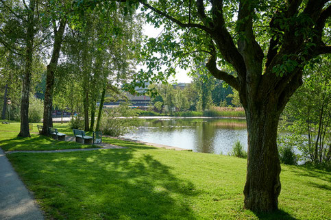 Rosenberg Winterthur Schützenweiher