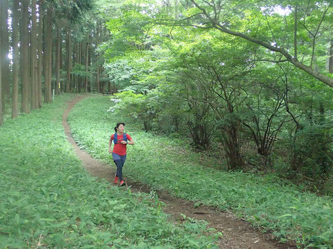 気持ちいのいいシングルトラック♪(爽やかに走るポーリン)
