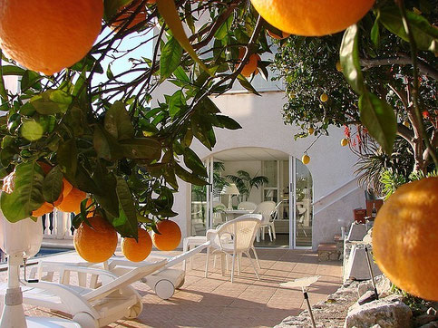 Terrasse, untere Etage