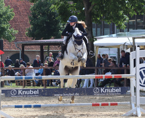 Cornflake 2023 im 115cm Springen