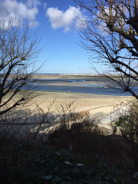 location-trottinette électrique-baie de somme-balades-nature-circuits conseillés-Saint Valery sur Somme-insolite-rues-amis-plan de ville-phoques-vieille ville-monuments-carte-electric bicycles-scooters-elektrofahrräd-elektroroller-elektrische fiets-step