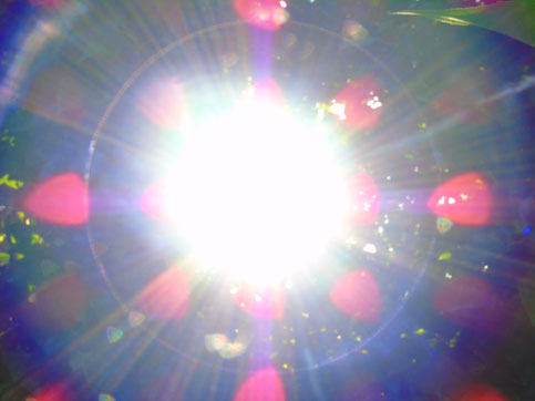 ©Text und Bilder www.lichtwesenfotografie.com