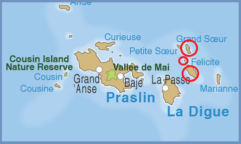 Seychellen, Reisebericht Seychellen, La Digue, Anse Source d'Argent, La Passe, Praslin, Reisebericht La Digue, Mahé, Big Sister Island, Felicité Island, Grand Anse, Anse Réunion, La Digue Island Lodge, Anse Sévêre, Anse Cocos, Petit Anse, Anse Patates, 
