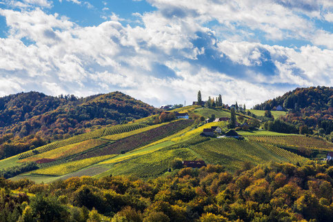 Panoramablick auf die Südsteirische Weinstraße (© Steiermark Tourismus / Harry Schiffer)