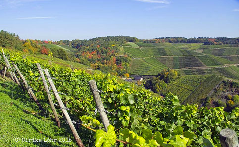 Weinberge an der Ahr