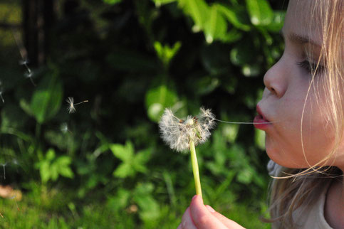 Hochsensibles Kind mit einer Pusteblume
