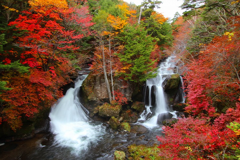 Nikko