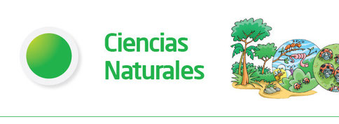 Ciencias Naturales Pagina Web De Cienciasnaturalesjmrr Ve más ideas sobre ciencia natural, ciencia y ciencias de la naturaleza. ciencias naturales pagina web de