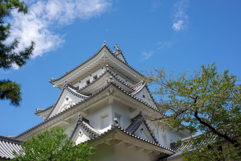 岐阜県大垣のランチどころ「みよし亭」春は山菜　飛騨牛　稚鮎を食べれます。桜も窓から眺めることができま大垣のランチどころ「みよし亭」春は山菜　飛騨牛　稚鮎を食べれます。桜も窓から眺めることができま