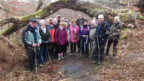 La bande à Jojo en attente avant de passer sous l'arche de cet arbre
