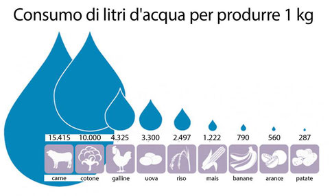 Acqua attiva m.WU idrogeno antiossidante capsule bellezza salute pelle filtri depuratori acqua