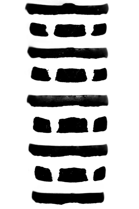 Fotograaf: Elles Rijsdijk