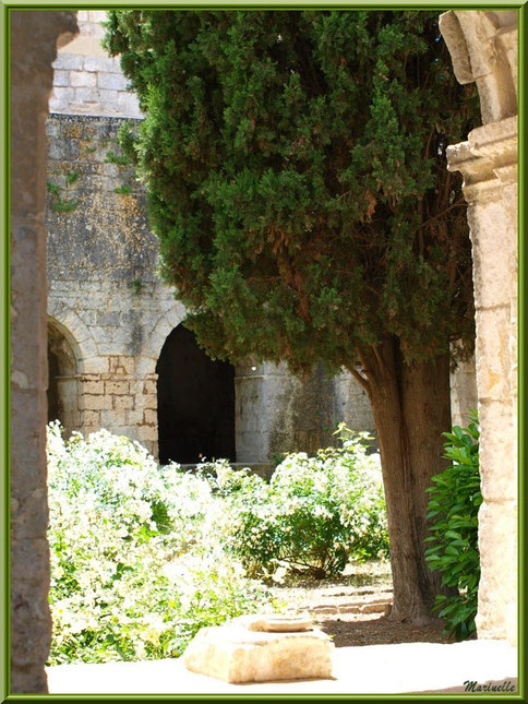 Une des baies du cloître de l'abbaye de Silvacane avec un vestige d'un pied de colonnette et vue sur le jardin intérieur, Vallée de la Basse Durance (13) 