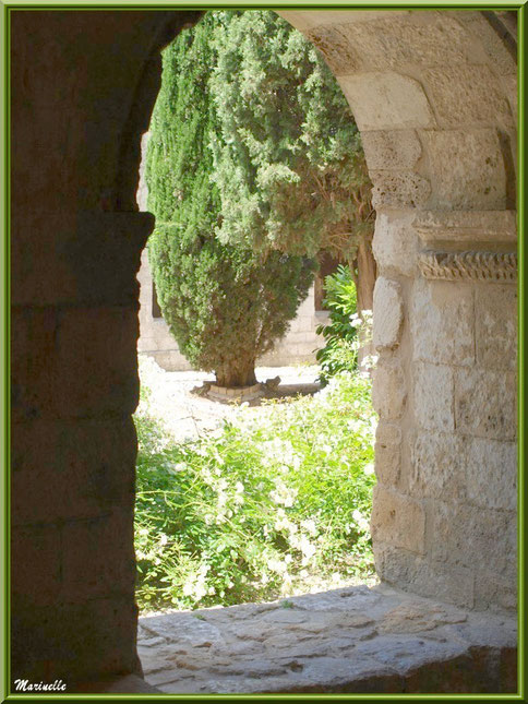 Une des baies du cloître de l'abbaye de Silvacane avec vue sur le jardin intérieur, Vallée de la Basse Durance (13)