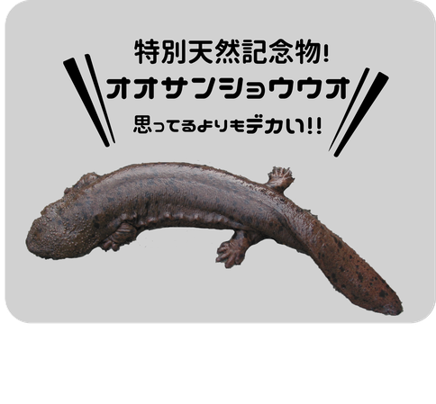鵬技術コンサルタントの若手さんに突撃 Tottori Sigoto Pressc ページ 鵬技術コンサルタントの若手さんに突撃 Tottori Sigoto Pressc ページ