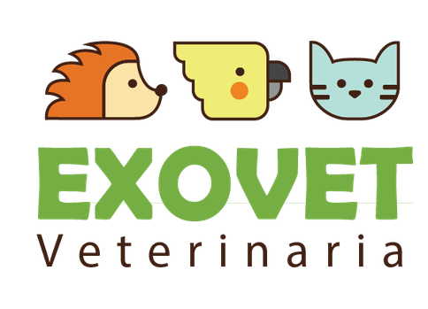 Página web de exovetveterinaria