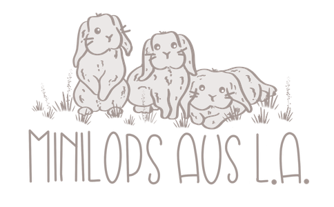 zwergwidder-aus-las Webseite!