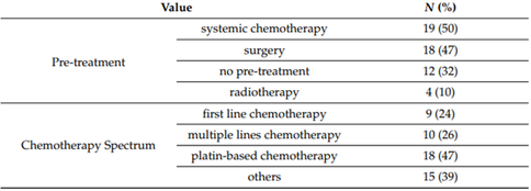 Tabelle zeigt die Patientencharakteristika der 38 behandelten Patienten, darunter Geschlecht, Karnofsky-Index, Aszites, Metastasenspektrum, Vorbehandlungen und Chemotherapiespektrum.