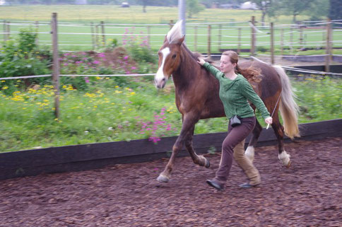 Freiarbeit mit Pferden / Liberty / Horsemanship / Pferdeliebe