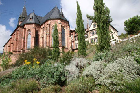 Unterhalb der Kirche von St. Martin erstreckt sich der Bibelgarten. Foto: Pfalz-Touristik