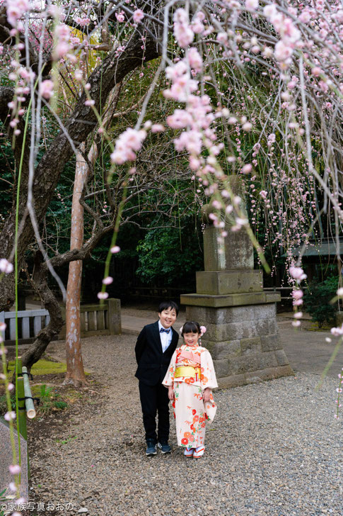 七五三写真, 七五三出張撮影, 七五三出張カメラマン, 出張撮影東京, 出張カメラマン東京, 七五三写真 赤坂日枝神社