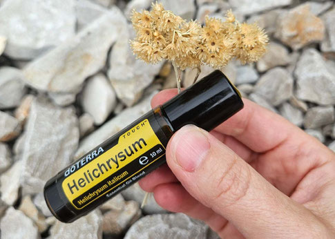 Energetische Narbenentstörung mit dem hochwertigem ätherischen Öl Helichrysum