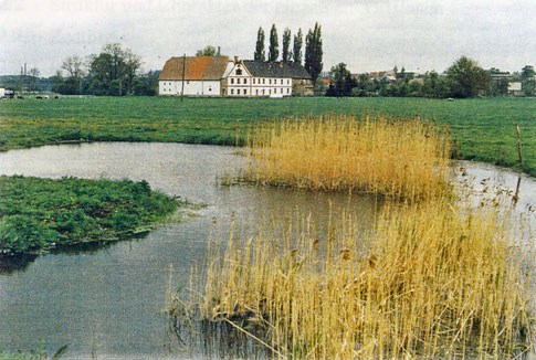 Gemeinde Wyhra im Vordergrund Reste einer slawischen Wasserburg, im Hintergrund das Gemeindeamt.